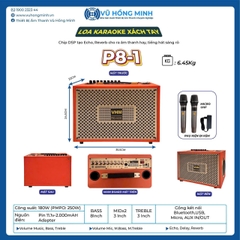 Loa karaoke xách tay VHM P8-1 Bass 20cm 250W
