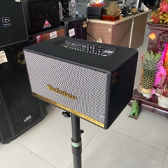 Loa karaoke xách tay VHM V415