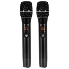 Loa di động bosa PA700W (Bass 2 tấc)