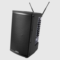 Loa kéo di động bosa PA800 (bass 2 tấc)