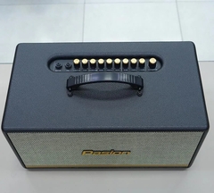 Loa karaoke Paramax Pasion 2 công suất 100W Bluetooth 5.0