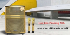 Loa karaoke Prosing 18A