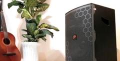 Loa ProSing W12 Bee