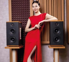 Loa karaoke Sumico HSP54 công suất 200 W RMS Tần số 30 Hz – 20 kHz