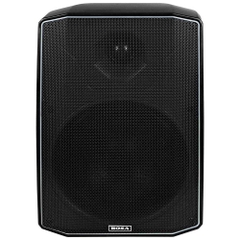 Loa treo tường bosa D650 (đen)