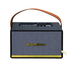 Loa karaoke xách tay VHM V415