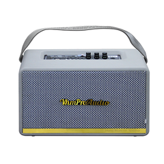 Loa karaoke xách tay VHM V415