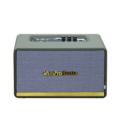 Loa karaoke xách tay VHM V415