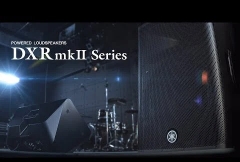 Loa Yamaha DXR8MKII bass 20cm công suất RMS 700W