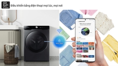 Máy giặt Samsung AI EcoBubble Inverter 12 kg WW12CG604DLBSV