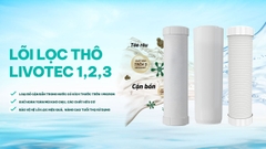 Máy lọc nước nóng lạnh Karofi Livotec 616