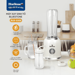 Máy Xay Sinh Tố BlueStone BLB-5308 300W