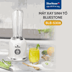 Máy Xay Sinh Tố BlueStone BLB-5308 300W
