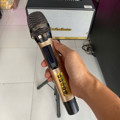 Loa karaoke xách tay VHM V415