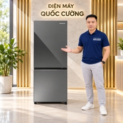 Tủ lạnh Panasonic Inverter 255 lít NR-BV281BGMV