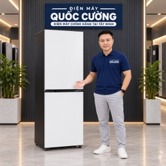 Tủ lạnh Panasonic Inverter 336 lít 2 cánh NR-BV372HWWV màu trắng