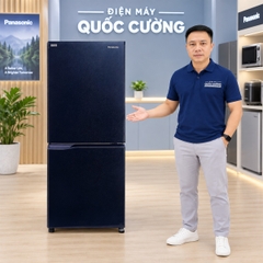 Tủ Lạnh Panasonic Inverter 251 Lít NR-SP275CPAV