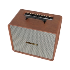 Loa karaoke xách tay PARAMAX Nice 200W màu nâu kèm 2 micro