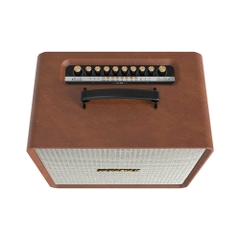 Loa karaoke xách tay PARAMAX Nice 200W màu nâu kèm 2 micro