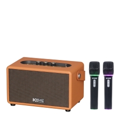 Loa karaoke SONCAMEDIA S30 V2 30W kèm 2 micro