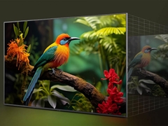 Smart Tivi QNED LG AI 4K 43 inch 43QNED81ASA