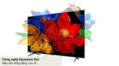 Google Tivi QLED TCL AI 4K 65 inch 65P7K