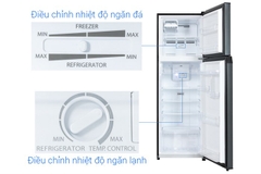 Tủ Lạnh Toshiba 253 Lít GR-RT329WE-PMV(52)