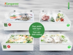 Tủ đông kháng khuẩn 327 lít Kangaroo KG327C2N