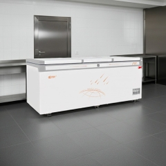Tủ đông nằm 1380L Oucboll BD/BC-1380H