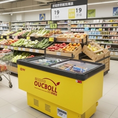Tủ đông đáy phẳng cửa kính Oucboll SD/SC-550 - 550 lít