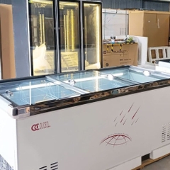 Tủ đông 838 lít Oucboll SD/SC-838