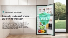 Tủ lạnh Hisense Inverter 205 lít RT201N3ES