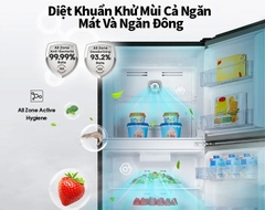 Tủ lạnh Hisense Inverter 205 lít RT256N4EBN