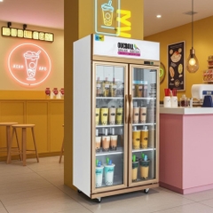 Tủ mát 2 cánh kính Oucboll 920 Lít LG-880C