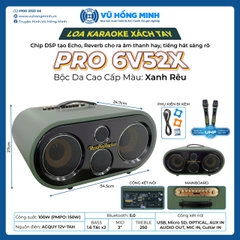 Loa karaoke xách tay VHM 6V52X