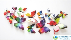Bướm 3D vân màu cánh kép