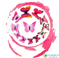 Bướm 3D hồng cánh đơn