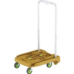 Xe đẩy hàng Trusco - # WP-2-OR ( Light-Duty Resin Trolley)