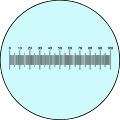 Carton Optical Việt Nam | Carton Scale MW8481717