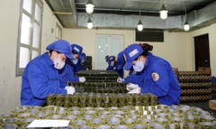 Lê Nguyễn khởi động năm 2024 với hạng mục "Lắp đặt hệ thống xử lý nước thải sản xuất nhà máy Z...."