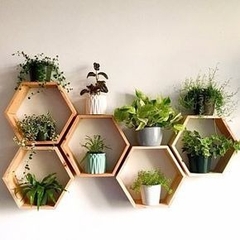Box Lục Giác