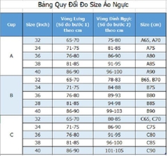 Áo Lót Nữ Bra Aeon Ren Có Gọng Mút Siêu Mỏng Bản Lưng Vừa 3 Móc Cài