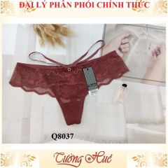 Quần lót nữ lọt khe ren lưới sexy freesize MÀU NGẪU NHIÊN.