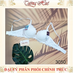 Áo lót nữ Đài Loan Iway 3050 Áo lót nâng ngực có gọng mút đúc dày~3cm phối ren lưới.