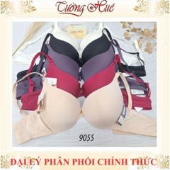 Áo Lót Nữ Đài Loan Aseity 9055 Xẻ V Sâu Có Gọng Mút Than Hoạt Tính Độ Dày 3cm .