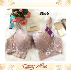 Áo lót nữ Annie Bra 8066 nguyên bảng to.