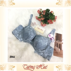 Áo lót nữ Annie Bra 8066 nguyên bảng to.