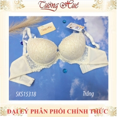 Áo lót nữ Darlin SKS 15318 áo ngực mút dầy nâng ren.