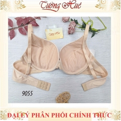 Áo Lót Nữ Đài Loan Aseity 9055 Xẻ V Sâu Có Gọng Mút Than Hoạt Tính Độ Dày 3cm .
