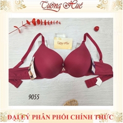 Áo Lót Nữ Đài Loan Aseity 9055 Xẻ V Sâu Có Gọng Mút Than Hoạt Tính Độ Dày 3cm .